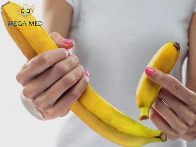 tấm độn sinh học miếng độn mergadem